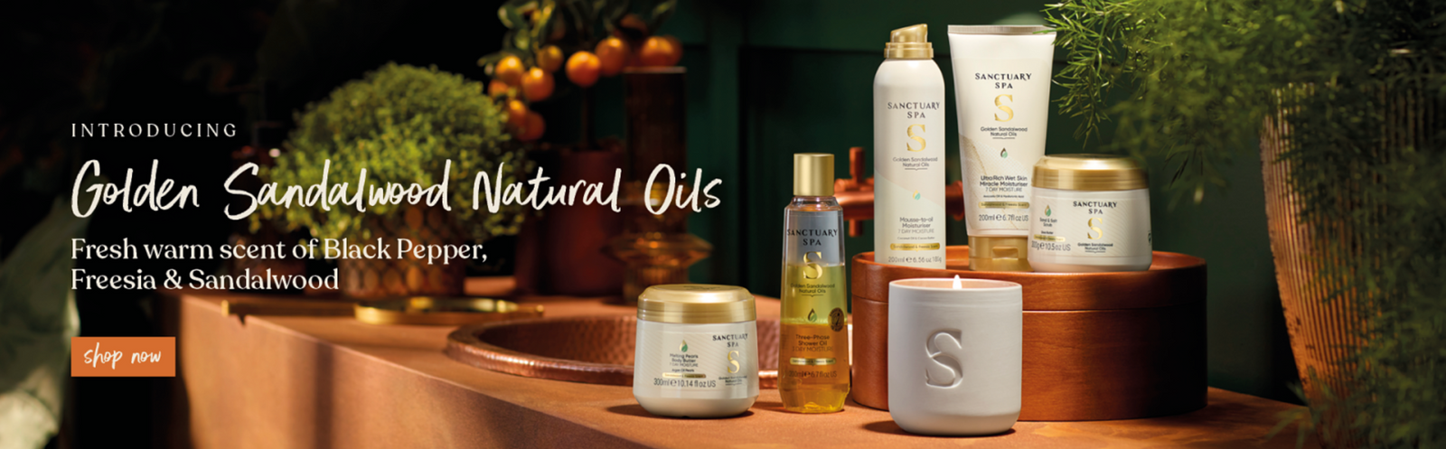 Sanctuary Spa