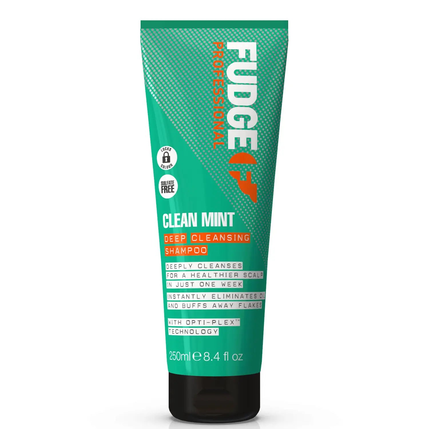 Fudge Professional Clean Mint Shampoo